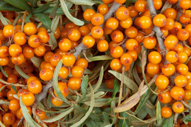 Similar image 1149888