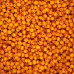 Similar image 1149890