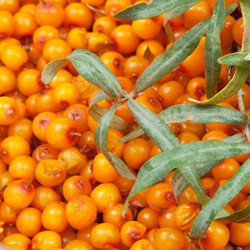 Similar image 1149892