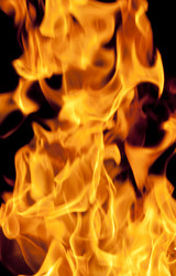 Similar image 1149893