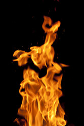 Similar image 1149895