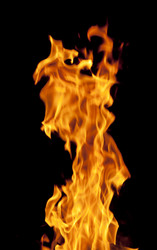 Similar image 1149896