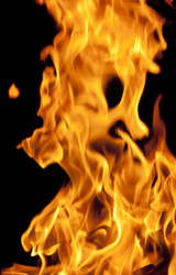 Similar image 1149897