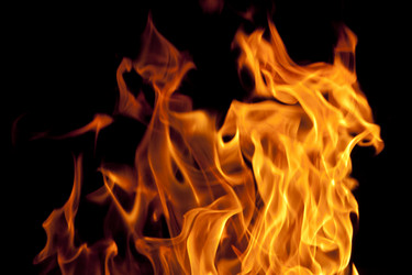 Similar image 1149902