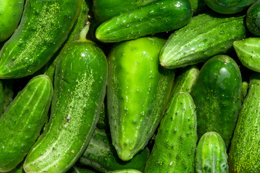 Similar image 1149903