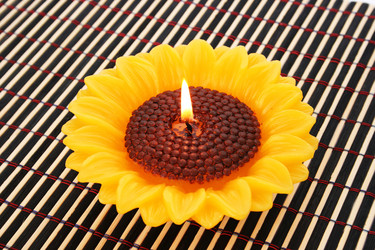 Similar image 1149909