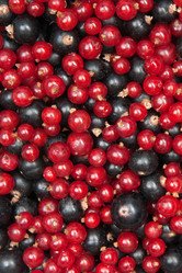 Similar image 1149945