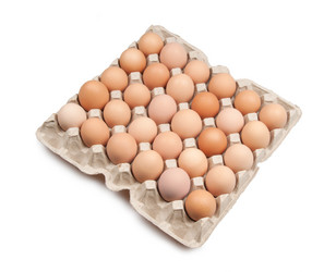 Similar image 1149946