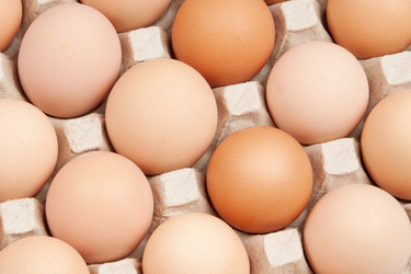 Similar image 1149947