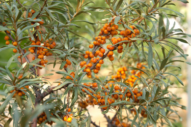 Similar image 1149950