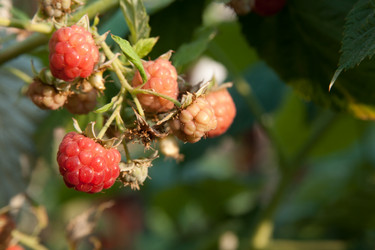 Similar image 1149951