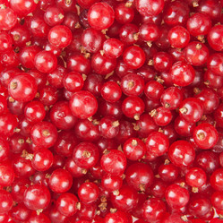 Similar image 1149954