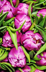 Similar image 1149957