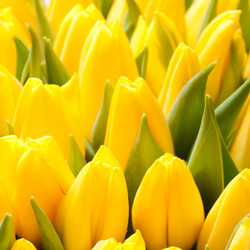 Similar image 1149958