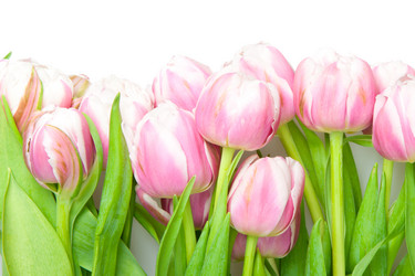 Similar image 1149961