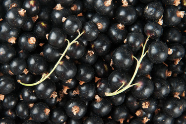 Similar image 1149962