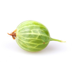 Similar image 1150745