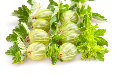 Similar image 1150747