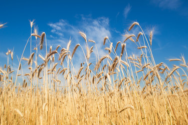 Similar image 1150750