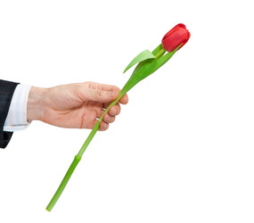 Similar image 1150755