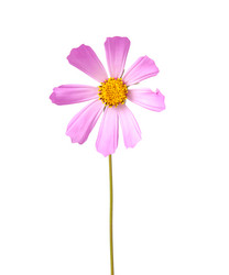 Similar image 1150756