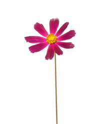 Similar image 1150758