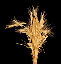 Similar image 1150760