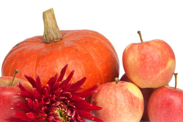 Similar image 1150763