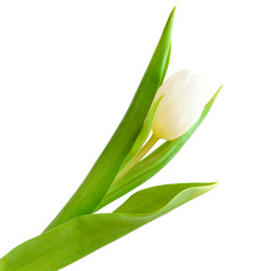 Similar image 1150764