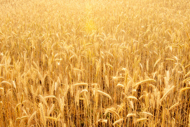 Similar image 1150765