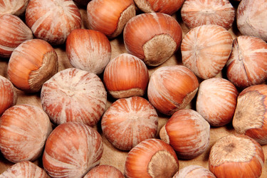 Similar image 1150772