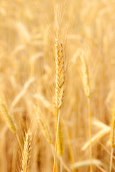 Similar image 1150773