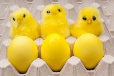 Similar image 1150777