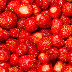 Similar image 1150781