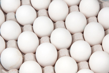 Similar image 1150784