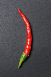 Similar image 1150787