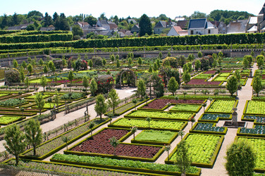 Similar image 1150792