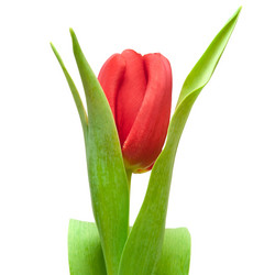 Similar image 1150799