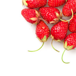 Similar image 1150800