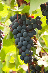 Similar image 1150807