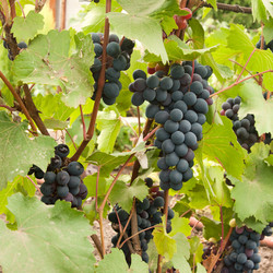 Similar image 1150808