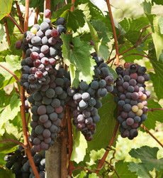 Similar image 1150809