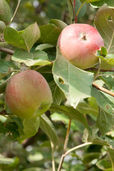 Similar image 1150810