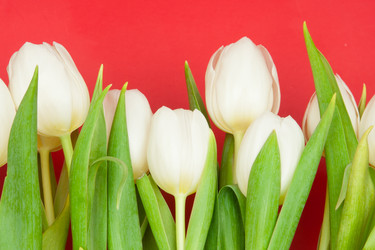 Similar image 1150813