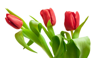 Similar image 1150820