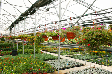 Similar image 1150859