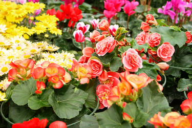 Similar image 1150861