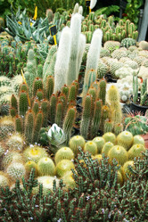 Similar image 1150865