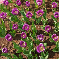 Similar image 1150929