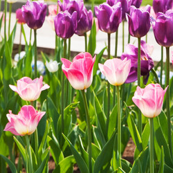 Similar image 1150930